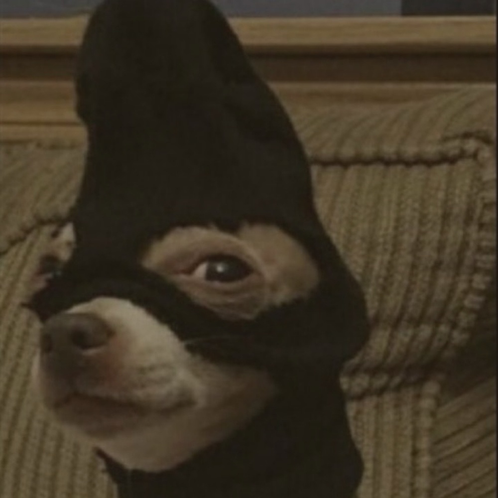 Meet your Posher, Malina